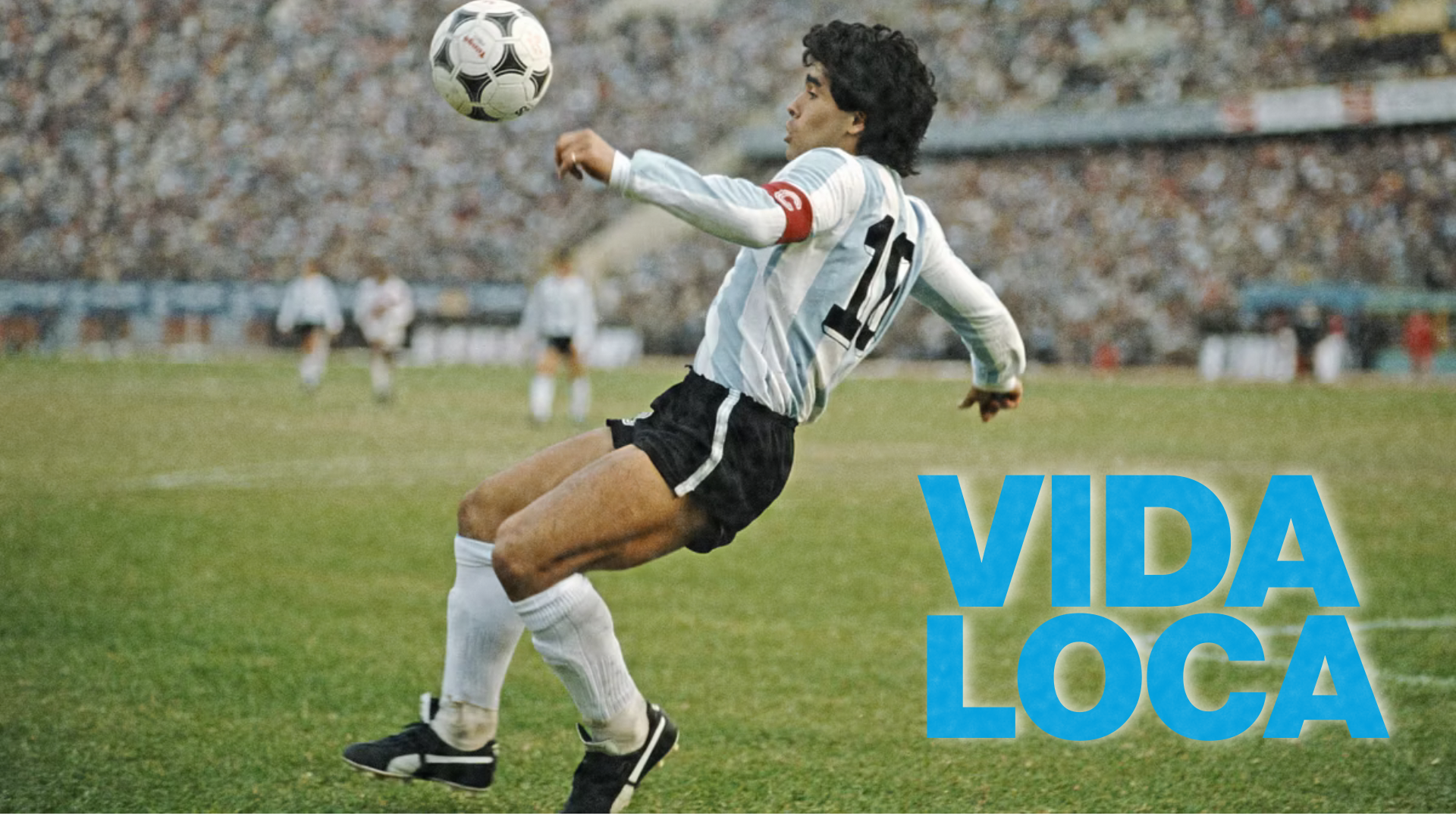 vidalocad10s