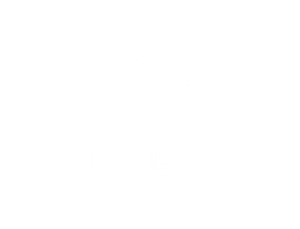 vidalocad10s